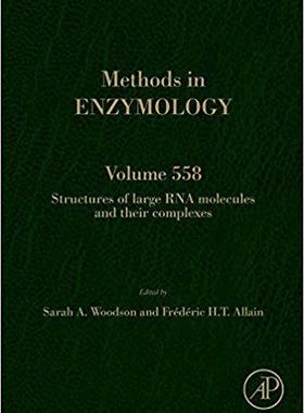 【预售】Structures of Large RNA Molecules and Their Complexes