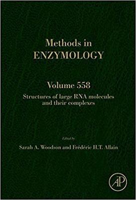 【预售】Structures of Large RNA Molecules and Their Complexes