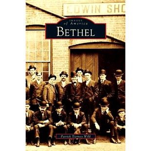 预订 Bethel: 9781531660109