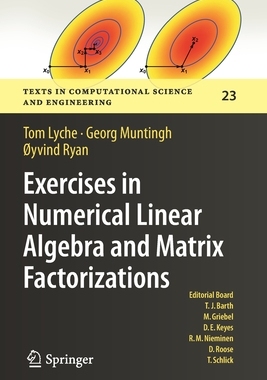 【预订】Exercises in Numerical Linear Algebra and Matrix Factorizations 9783030597917
