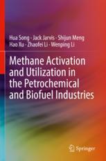 【预订】Methane Activation and Utilization in the Petrochemical and Biofuel  9783030884260