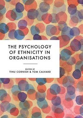【预订】The Psychology of Ethnicity in Organisations