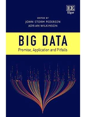 预订 Big Data: Promise, Application and Pitfalls 大数据：承诺、应用与陷阱: 9781788112345