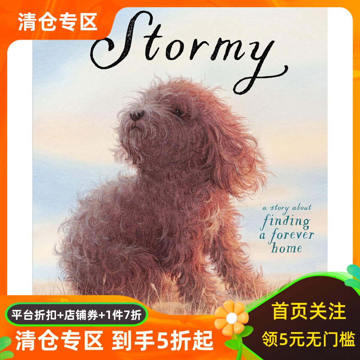 暴风雨寻找一个永远的家