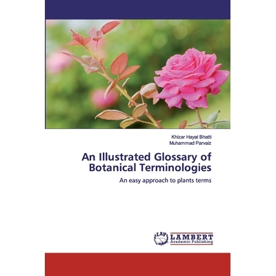 An easy approach to plants terms