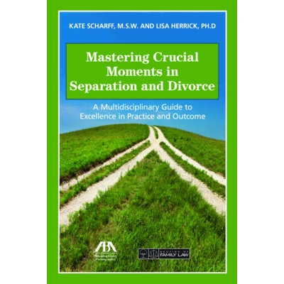 预订 Mastering Crucial Moments in Separation and Divorce: A Multidisciplinary Guide to Excellence in Practice and Outcom