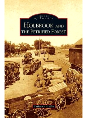 预订 Holbrook and the Petrified Forest: 9781531630270