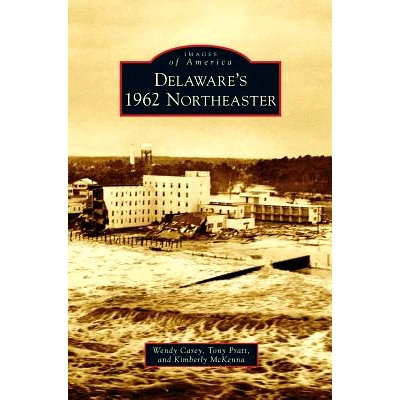 预订 Delaware’s 1962 Northeaster: 9781531673918