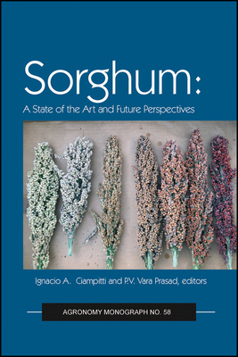 【预订】Sorghum - State Of The Art And Future Perspectives 9780891186274