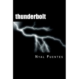 预订 thunderbolt: a stroke recovery memoir: 9781540521699