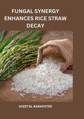 [预订]Fungal Synergy Enhances Rice Straw Decay 9787974047675