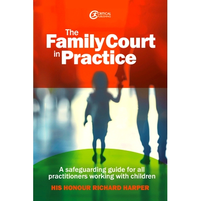 预订 The Family Court in Practice: A safeguarding guide for all practitioners working with children 家事法庭实务：适合所