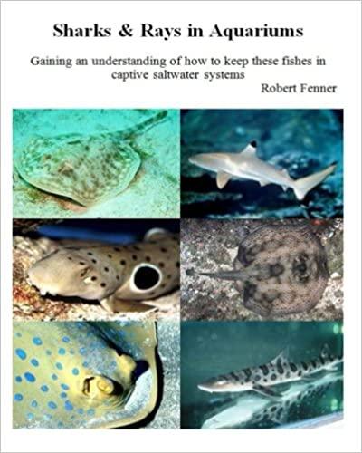 国外库房发货,通常付款后5-8周到货!