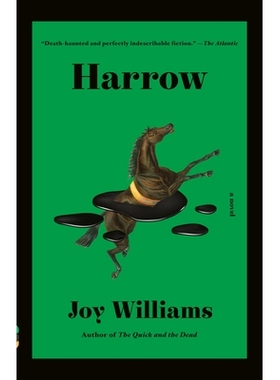 预订 Harrow: A Novel 耙: 9781984898807