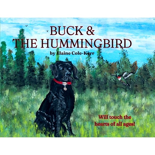 预订 Buck & The Hummingbird