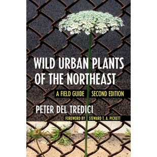 预订 Wild Urban Plants of the Northeast: A Field Guide 东北野生城市植物：一所大学如何接受包容和不平等: 9781501740442