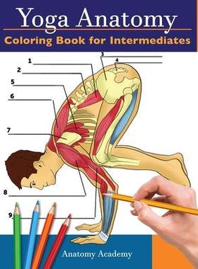 [预订]Yoga Anatomy Coloring Book for Intermediates: 50+ Incredibly Detailed Self-Test Intermediate Yoga Po 9781914207013