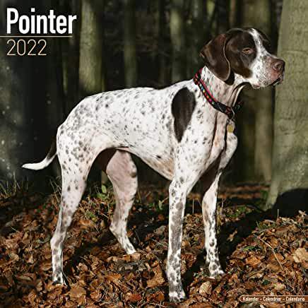 【预订】Pointer 2022 Wall Calendar 9781839411991