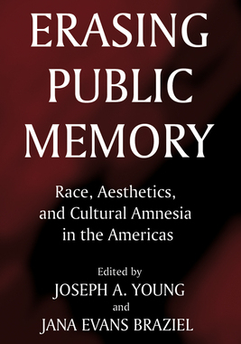 预订 Erasing Public Memory