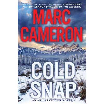 预订 Cold Snap: An Action Packed Novel of Suspense: 9781496732095