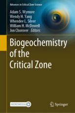 【预订】Biogeochemistry of the Critical Zone 9783030959203