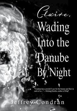 [预订]Claire, Wading Into the Danube By Night 9781732039940
