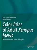 【预订】Color Atlas of Adult Xenopus laevis 9783031051098