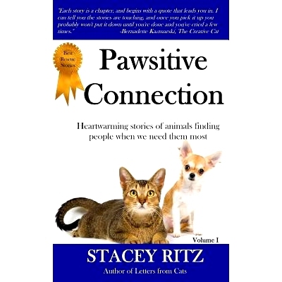 预订 Pawsitive Connection: Heartwarming stories of animals finding people when we need them most: 9781502778321