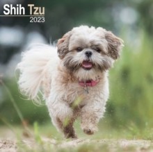 【预订】Shih Tzu 2023 Wall Calendar 9781839417573