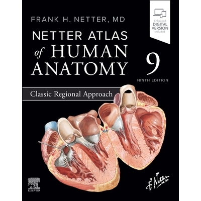 预订 Netter Atlas of Human Anatomy: Classic Regional Approach 奈特人体解剖图谱：经典区域解剖学 9780443118685