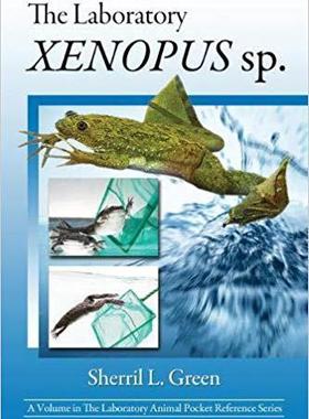 【预售】The Laboratory Xenopus sp.