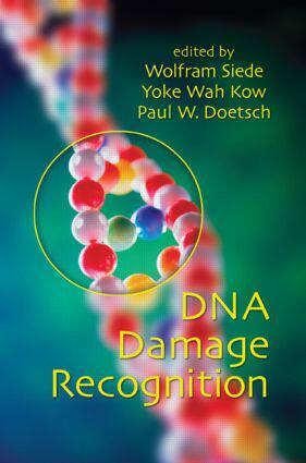【预订】Dna Damage Recognition