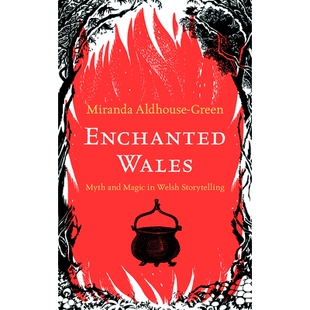魔法威尔士：威尔士故事中 9781915279187 Myth Welsh Magic Wales and 神话与魔法 预订 Storytelling Enchanted