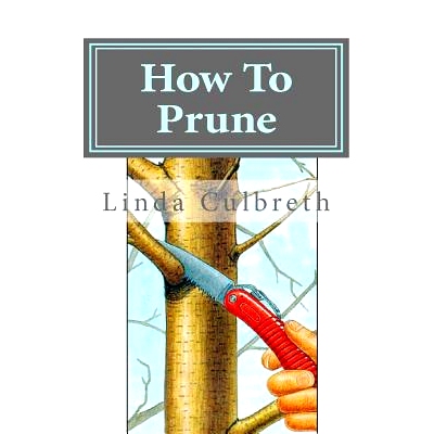 预订 How To Prune: 9781470143152