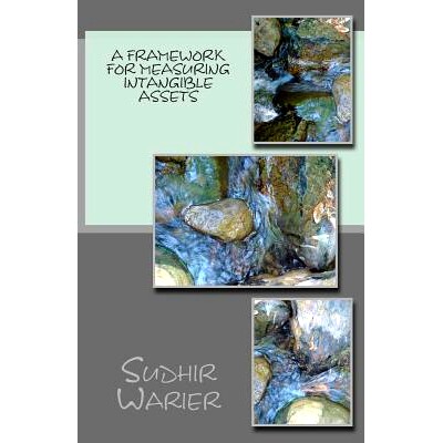 预订 A Framework for measuring Intangible Assets: 9781502869340