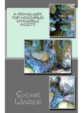 预订 A Framework for measuring Intangible Assets: 9781502869340