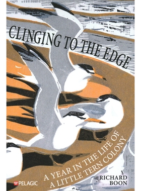 预订 Clinging to the Edge: A Year in the Life of a Little Tern Colony 在边缘徘徊: 9781784274894