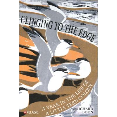 预订 Clinging to the Edge: A Year in the Life of a Little Tern Colony 在边缘徘徊: 9781784274894