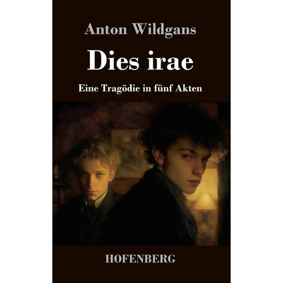 预订 Dies irae: Eine Tragödie in fünf Akten 9783743755116