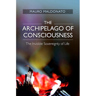 预订 Archipelago of Consciousness: The Invisible Sovereignty of Life 意识群岛: 9781845197124