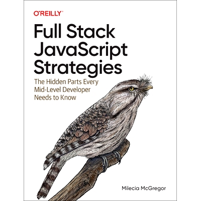 预订 Full Stack JavaScript Strategies: The Hidden Parts Every Mid-Level Developer Needs to Know 全栈JavaScript策略：每个