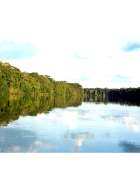 预订 The Congo’s Salonga National Park: Interactions Between Society, Biodiversity and Water in a Humid Tropical Forest