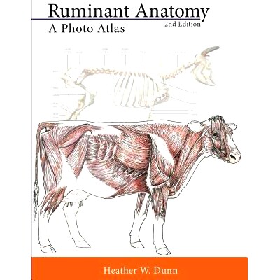 预订 Ruminant Anatomy: A Photo Atlas: 9781500767600