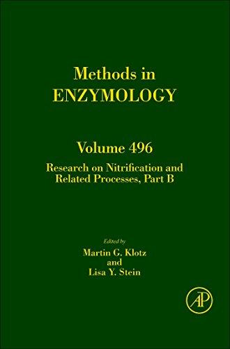 美国库房发货,通常付款后5-8周到货!