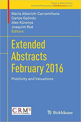 【预售】Extended Abstracts February 2016: Positivity and Valuations (2018)