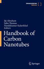 【预订】Handbook of Carbon Nanotubes 9783030913458