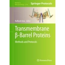 预订 Transmembrane β-Barrel Proteins Methods and Protocols 跨膜 β 桶蛋白质类：方法与协议 9781071637333