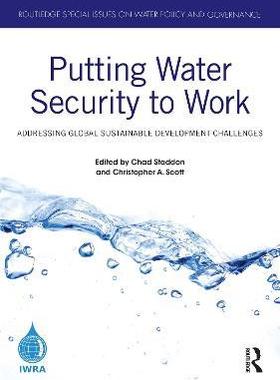 [预订]Putting Water Security to Work: Addressing Global Sustainable Development Challenges 9780367650209