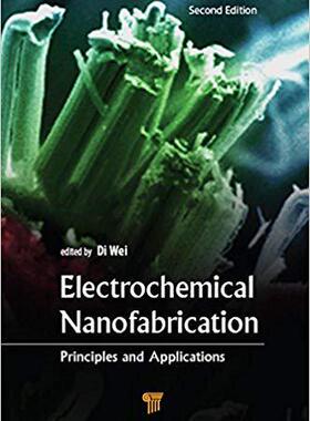 【预售】Electrochemical Nanofabrication