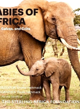 预订 Babies of Africa: Cubs, Calves and Colts: 9781735583419